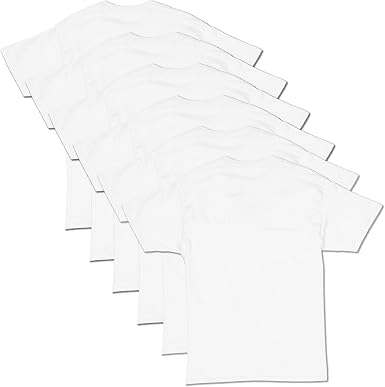 Hanes Men's Essential Crewneck Cotton T-Shirt Pack (4 or 6 Pack)